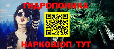 PSILOCYBIN Кинель