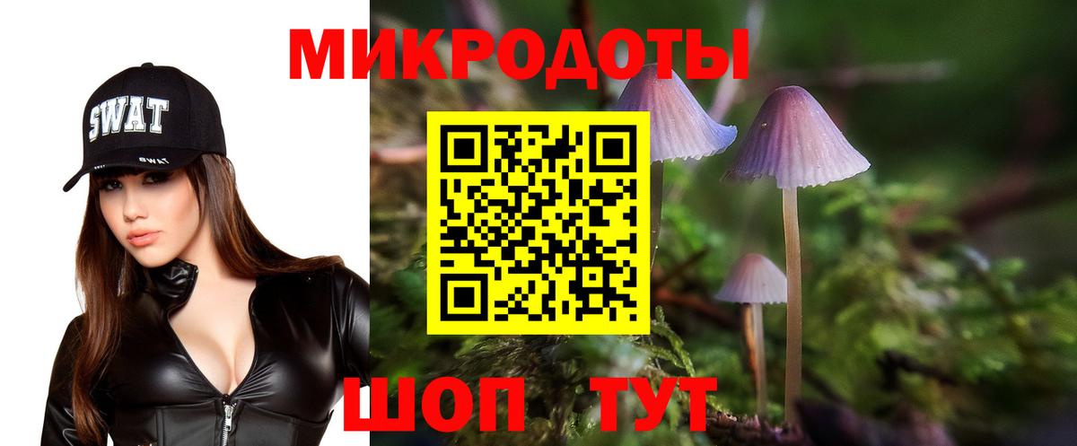 Псилоцибиновые грибы Psilocybe  Псилоцибиновые грибы GOLDEN TEACHER  Вход с VPN  Кандалакша 